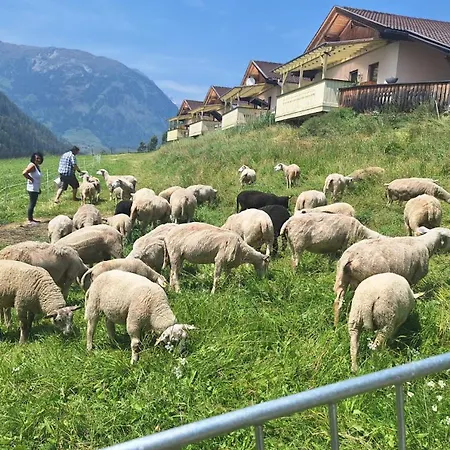 Moelltaler Ferienhaeuser 3*