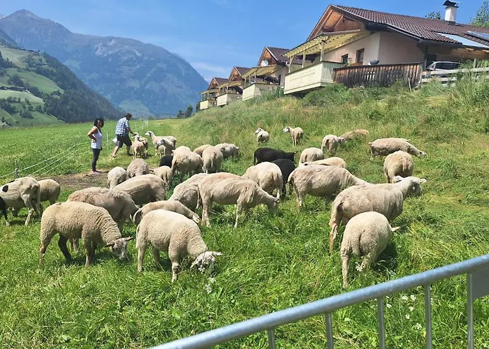 Moelltaler Ferienhaeuser 3*