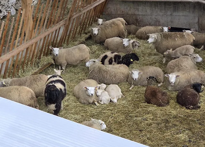 Kompleks wypoczynkowy Moelltaler Ferienhaeuser