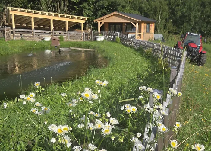 Moelltaler Ferienhaeuser Kompleks wypoczynkowy